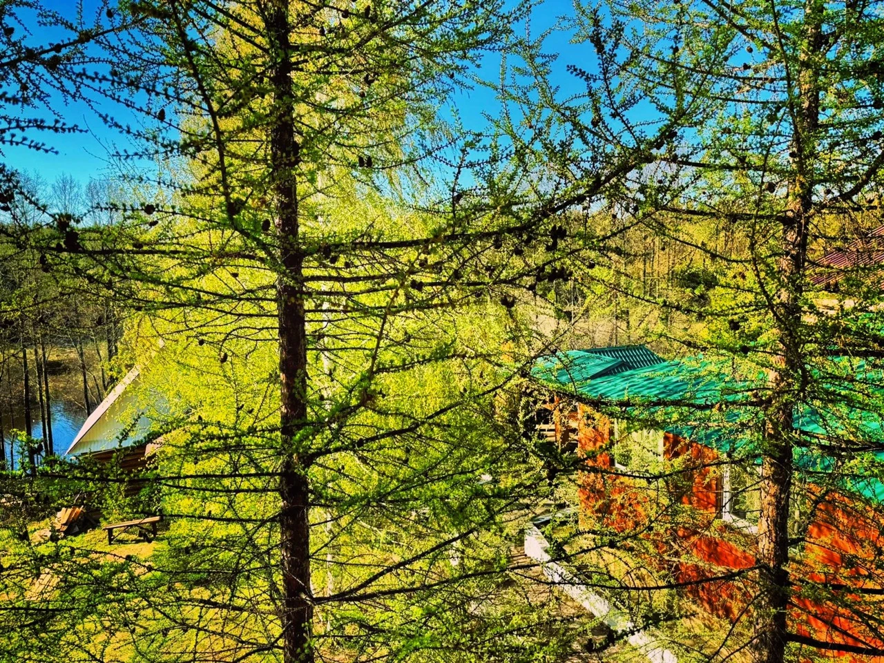 Галерея 18