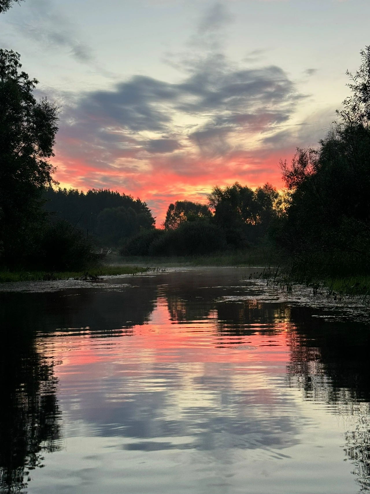 Галерея 26